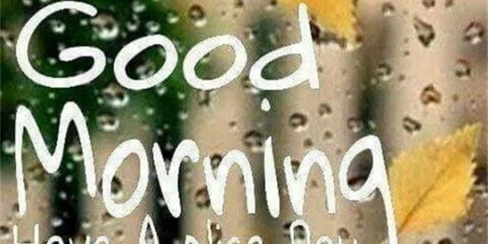 735x1306 Top 100 Have A Nice Day Nature Rainy Good Morning Images - twistequill