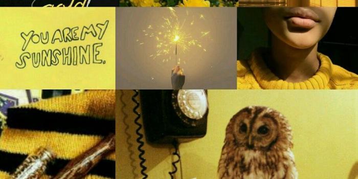 923x1280 Hufflepuff aesthetic Google Search HUFFLEPUFF Harry potter