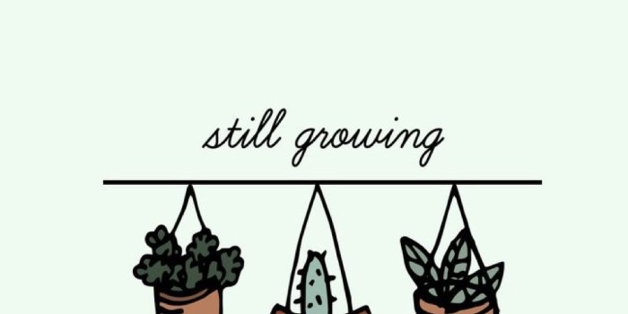 993x1822 GARDENING | Gardening | Aesthetic iphone wallpaper, Plant wallpaper