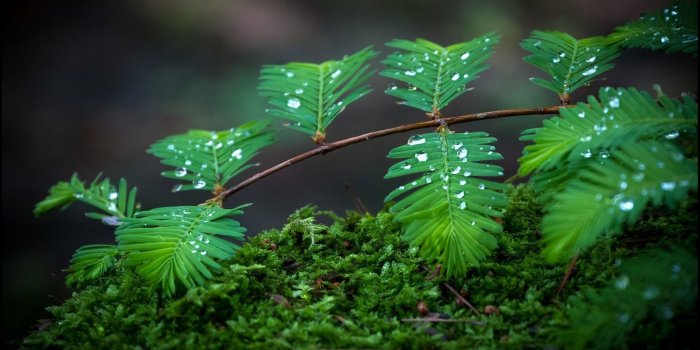 1920x1080 1920x1080 Rain Hd Wallpapers Desktop Images Full. Download