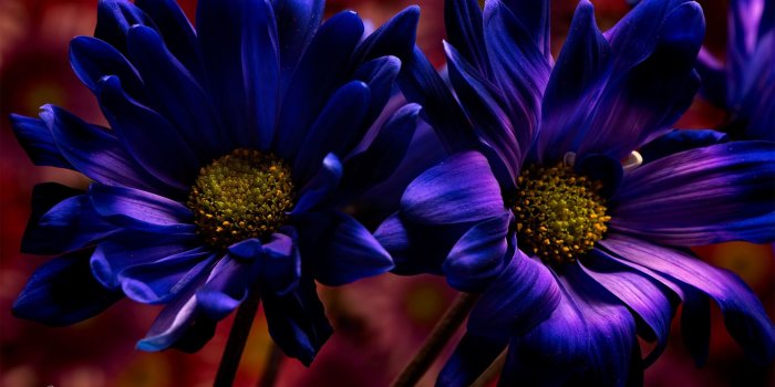 1920x1080 Wallpapers for Laptop (81+ background pictures)