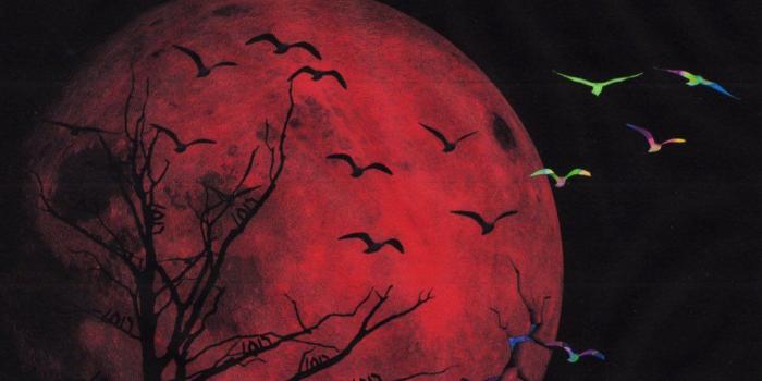 1024x1024 Lil Uzi Vert and Gucci Mane Are Releasing '1017 Vs The World