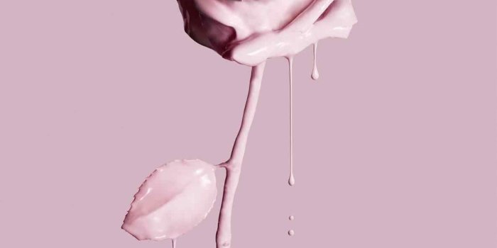 1185x1541 Image result for rose gold aesthetic | R O S E in 2019 | Still life