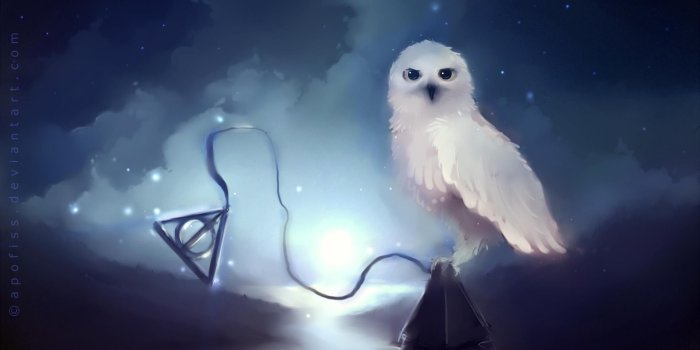 1920x1080 Wallpaper De Harry Potter (49+) - Free Download | Techpresentations