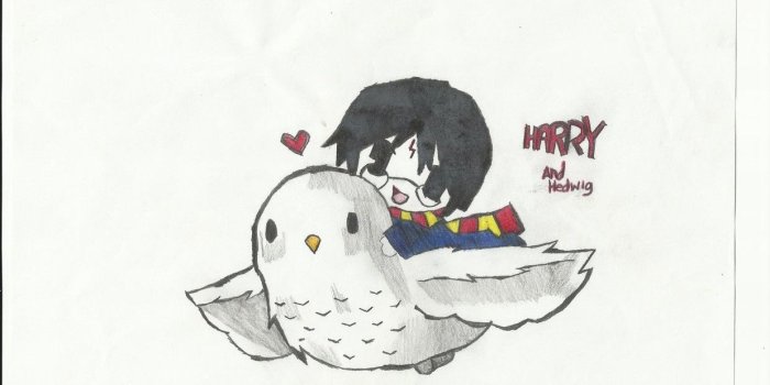 1238x900 Best 53+ Hedwig Wallpaper on HipWallpaper | Hedwig Harry Potter