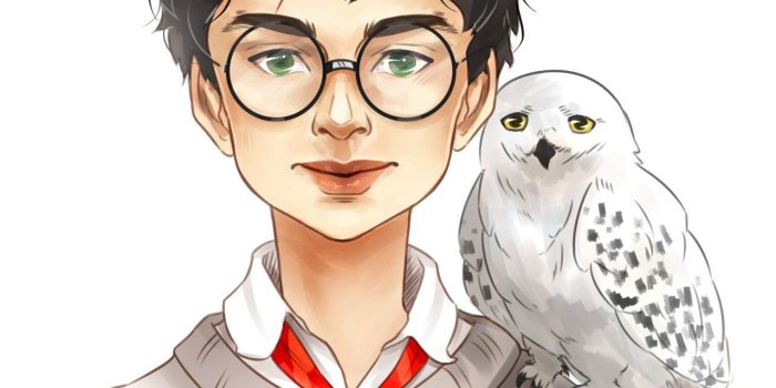 1280x1810 55+ Hedwig Wallpapers - Download at WallpaperBro