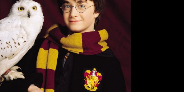 1440x900 Best 53+ Hedwig Wallpaper on HipWallpaper | Hedwig Harry Potter