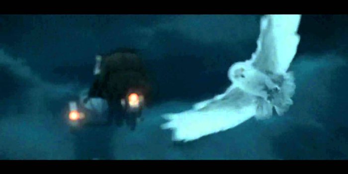 1920x1080 Best 53+ Hedwig Wallpaper on HipWallpaper | Hedwig Harry Potter