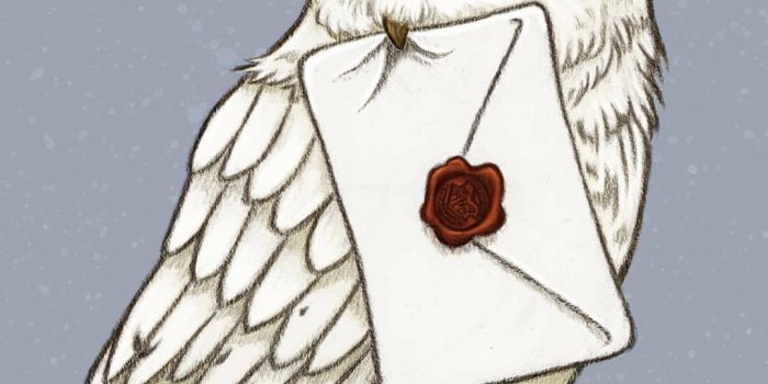 1080x1112 Hedwig clipart draw for free download and use images in