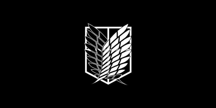 1131x707 Attack On Titan Survey Corps Wallpapers - Top Free Attack On Titan