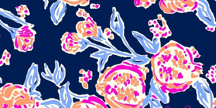 1600x1001 Mallory Cases on prints & art in 2019 | Lily pulitzer