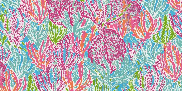 1600x1001 Lilly Pulitzer Desktop Wallpaper - (31+ images)