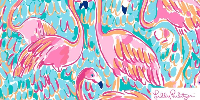 1600x1001 Lilly Pulitzer Computer Wallpaper (72+ images in Collection) Page 1