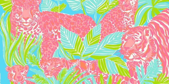 1600x1000 Lilly pulitzer desktop wallpaper - SF Wallpaper