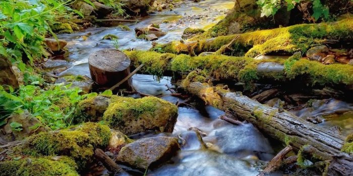 1066x1598 HD Nature Phone Wallpapers - Top Free HD Nature Phone Backgrounds