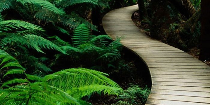 1080x1920 Nature Phone Wallpapers - Top Free Nature Phone Backgrounds