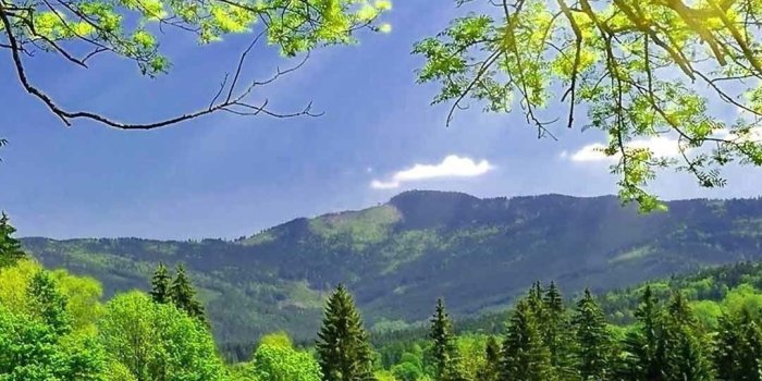 1080x1920 Beautiful Wallpapers Of Nature For Mobile