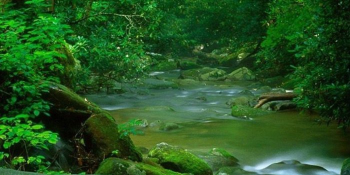 1060x1884 Wallpapers HD 1080p Mobile