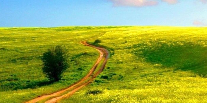 1080x1920 HD Nature Wallpaper for iPhone (84+ images)