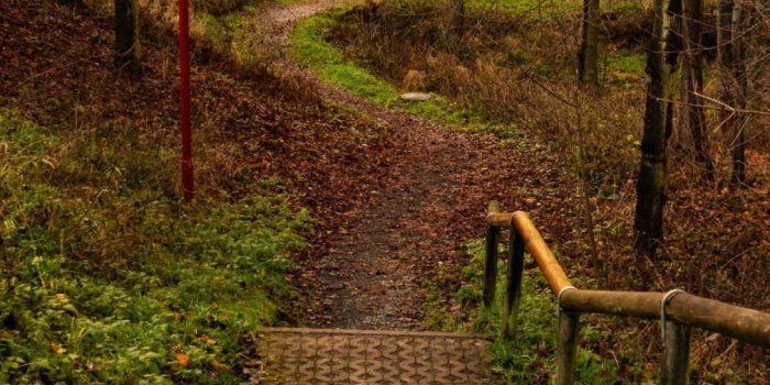 1200x1600 Nature - Mobiles Wall