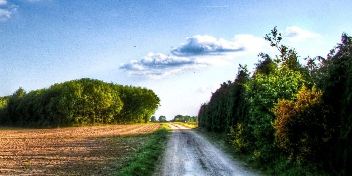 1066x1598 HD Nature Phone Wallpapers - Top Free HD Nature Phone Backgrounds