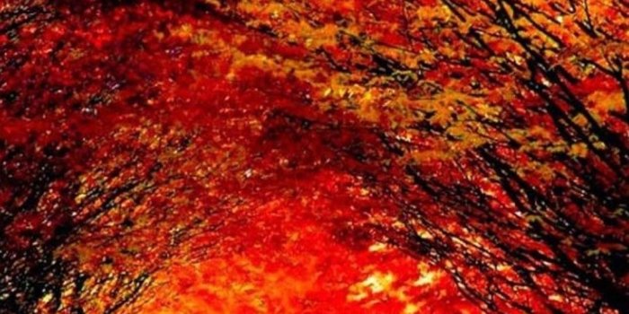 1080x1920 Nice Nature Wallpapers for Phone (36+ images)