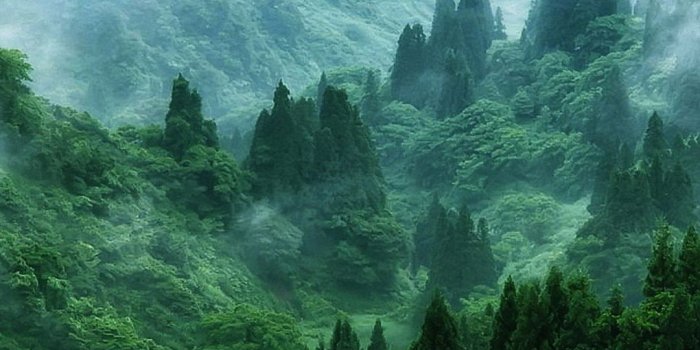 1080x1920 HD Nature Phone Wallpapers - Top Free HD Nature Phone Backgrounds