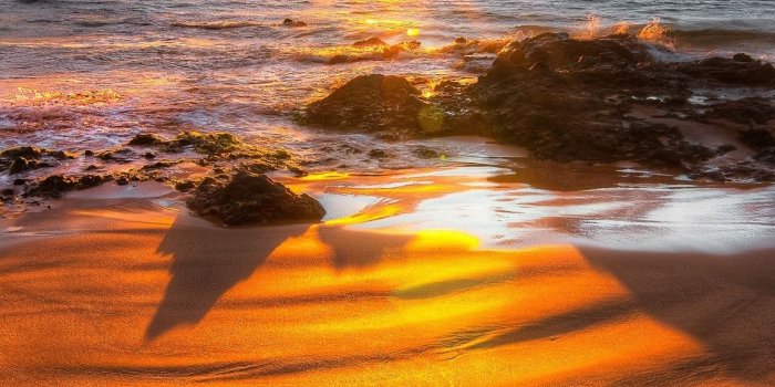 1154x1598 17331 nature photo gallery wallpapers