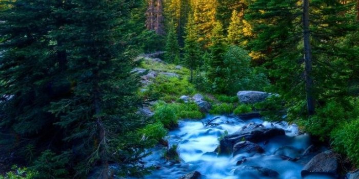 768x1024 Nature Phone Wallpapers - Top Free Nature Phone Backgrounds