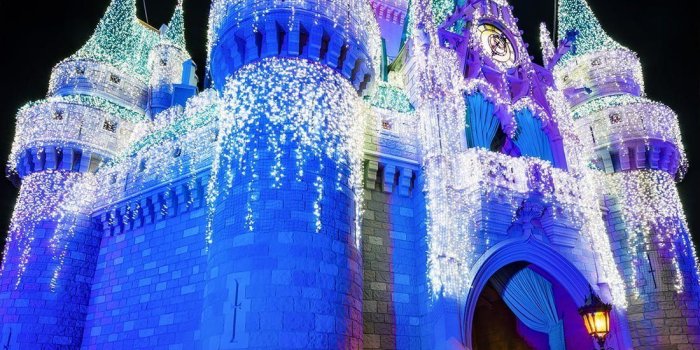 1100x2000 Disney World: Disney World Castle Christmas Lights