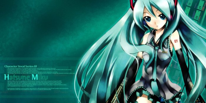 1920x1080 Hatsune Miku HD Wallpapers Backgrounds Wallpaper | Vocaloid
