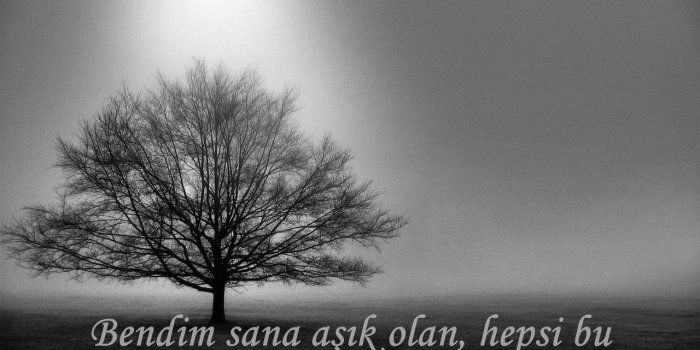 1280x720 awesome Black Elephant Desktop Wallpapers | Animals | White