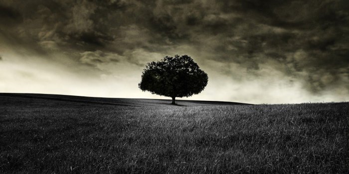 1600x1000 Black Fresh HD Wallpapers | 1080p ~ Wallpaper Hd 1080p