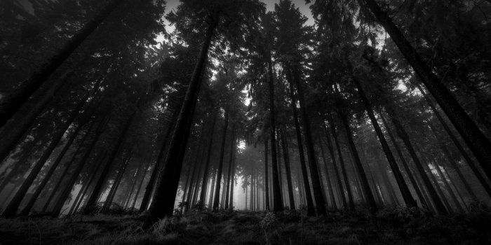 1920x1080 60+ Black Landscape Wallpapers - Download at WallpaperBro