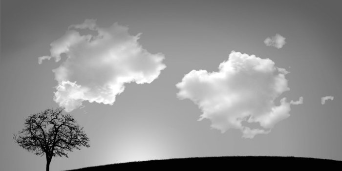 1920x1200 Download Black Tree HD Wallpaper Theme Bin Customization HD