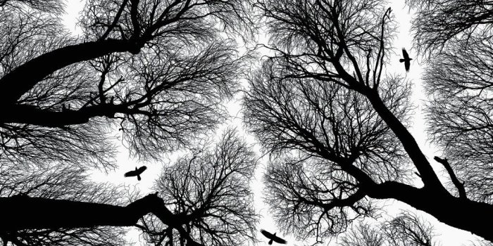 1024x768 Lost 4k Hd Desktop Wallpaper for 4k Ultra Hd Tv Wide and U for Black