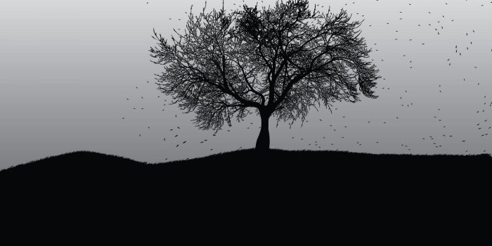 1600x1200 Wallpapers | HD Desktop and Mobile Wallpapers