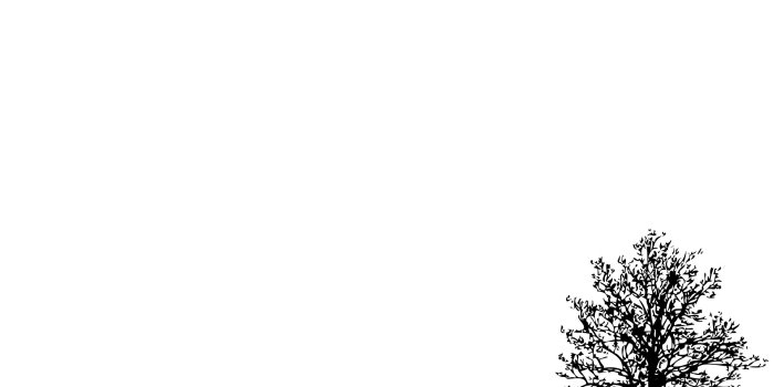 2560x1600 Minimalist Tree ❤ 4K HD Desktop Wallpaper for 4K Ultra HD TV • Dual