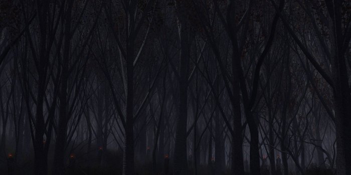 2560x1080 Black and White Forest Wallpaper (57+ images)