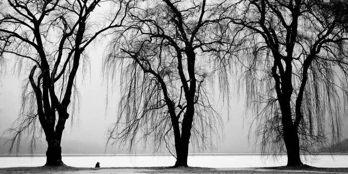 1920x1080 High definition black and white wallpapers Gallery