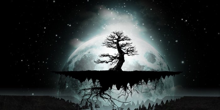 1920x1200 Tree Night Wallpaper Desktop Background #QxG | Kenikin