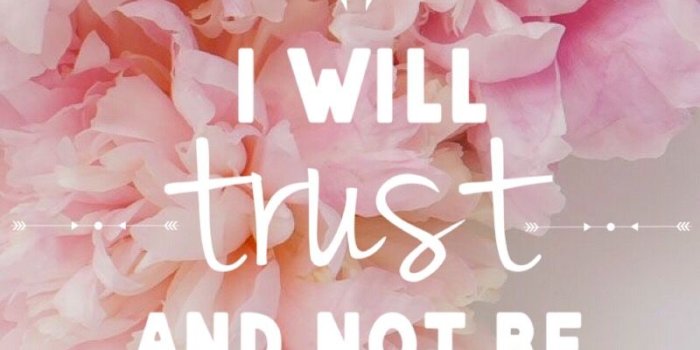 800x1308 Bible Quote Wallpapers | 4USkY.com