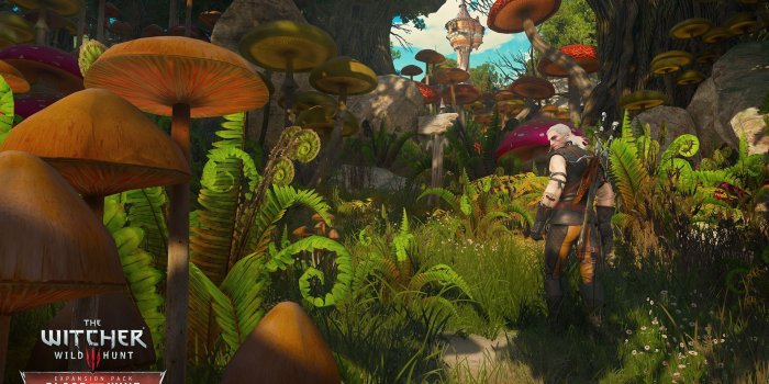 1920x1080 Witcher 3 Adding New Gwent Cards and More - GameSpot