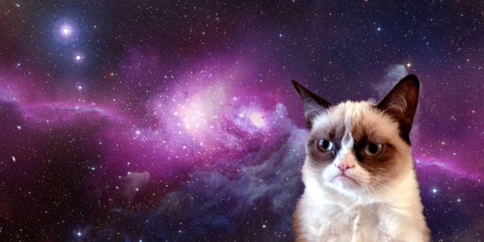 1919x1199 Cat In Space Wallpaper | 1919x1199 | ID:23451