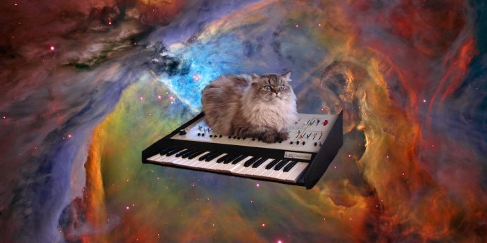 1600x900 Cat In Space Wallpaper | 1600x900 | ID:23453