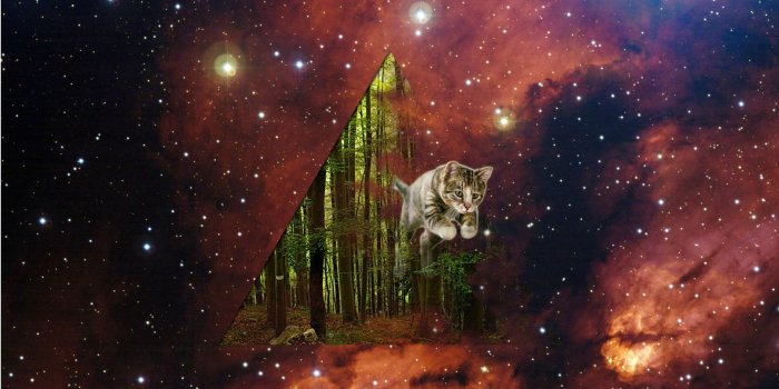 1920x1080 1920x1080px Space Cat iPhone Wallpaper - WallpaperSafari