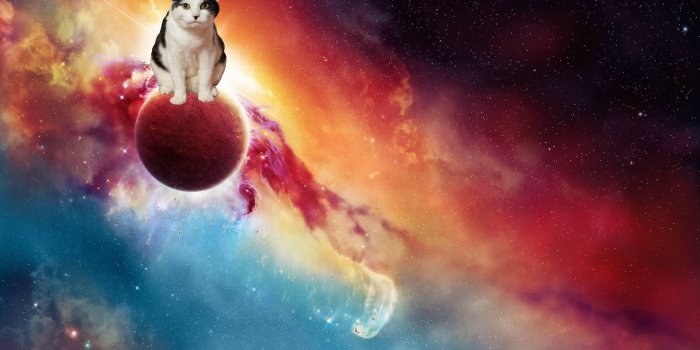 1920x1200 Cats in Space Wallpapers - Top Free Cats in Space Backgrounds