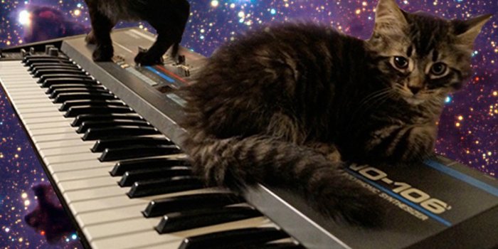 1080x1920 CATS ON SYNTHESIZERS IN SPACE | Synthesizers! | Cats, Galaxy cat