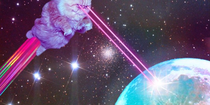 1280x851 Galaxy cat. This is one of the most ridiculous things I've ever seen