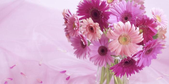 1600x1200 Gerbera Daisy Arrangement HD desktop wallpaper : Widescreen : High
